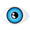 Web Tasarım